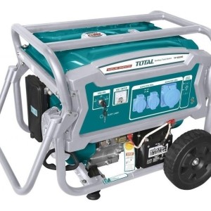 Generador Nafta Total E/electrico 6500w Uso Continu Tp165006