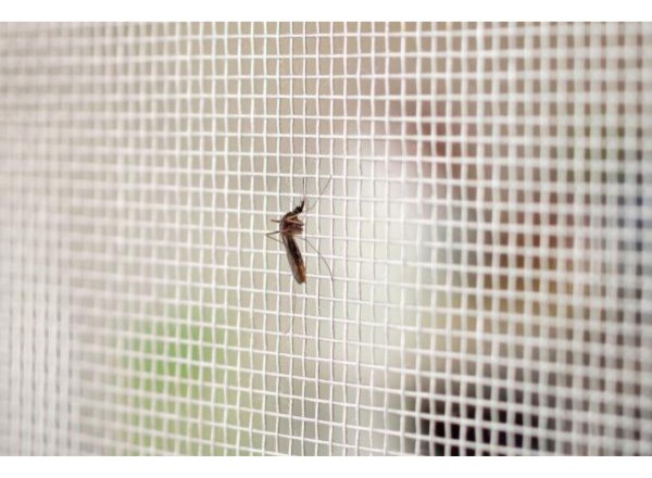 Tejido Malla Mosquitero De Fibra Negro 1.2m Ancho Por Metro - Imagen 5