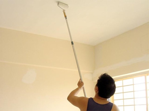 Pintura Glezna Cielos Rasos 18l Antihongos 200mt2 Envio Grat - Imagen 3